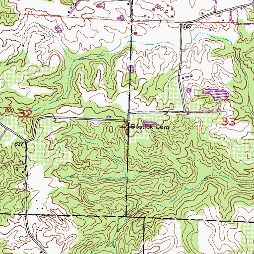 Topographic Map of Bostick Cemetery, IL