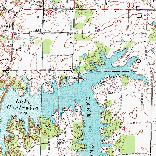 Topographic Map of Branch Cemetery, IL