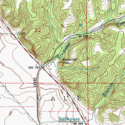 Topographic Map of Brewster-Ross Cemetery, IL