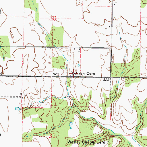 Topographic Map of Brian Cemetery, IL