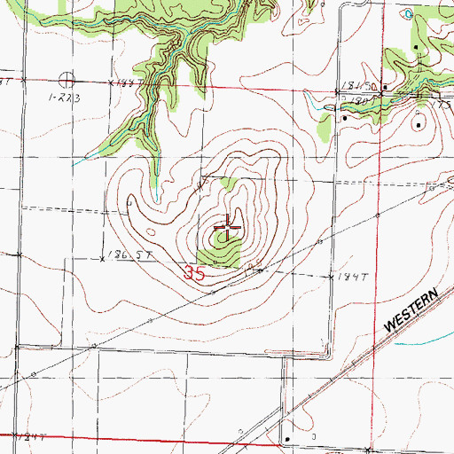 Topographic Map of Bridges Knob, IL