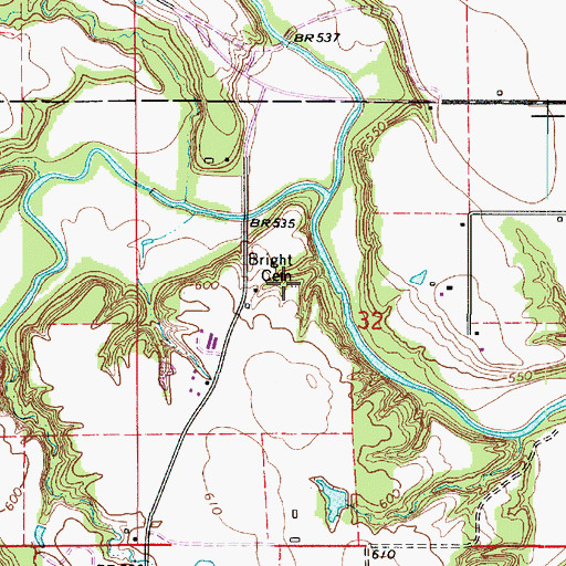 Topographic Map of Bright Cemetery, IL