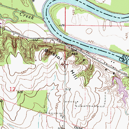 Topographic Map of Bristol Hill, IL