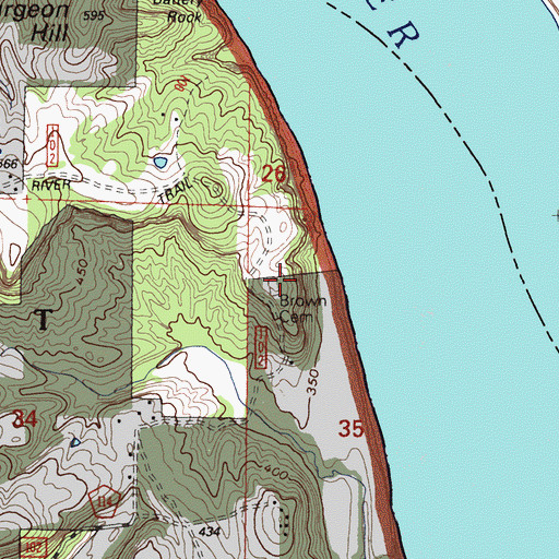 Topographic Map of Brown Cemetery, IL