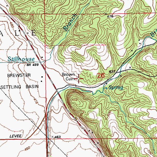 Topographic Map of Brown Cemetery, IL