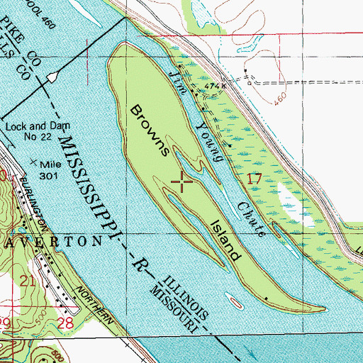 Topographic Map of Browns Island, IL