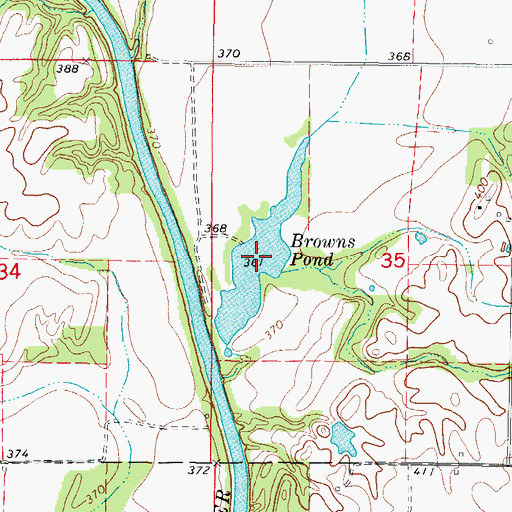 Topographic Map of Browns Pond, IL