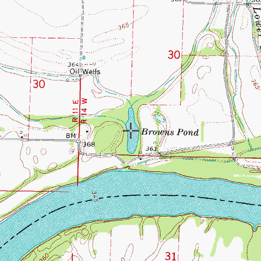 Topographic Map of Browns Pond, IL