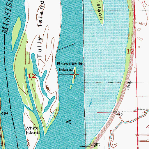 Topographic Map of Brownsville Island, IL