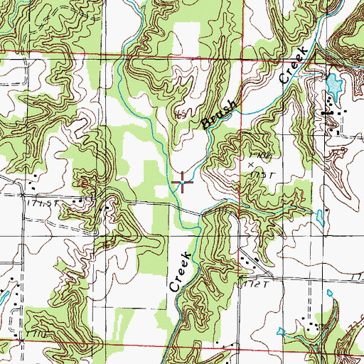 Topographic Map of Brush Creek, IL