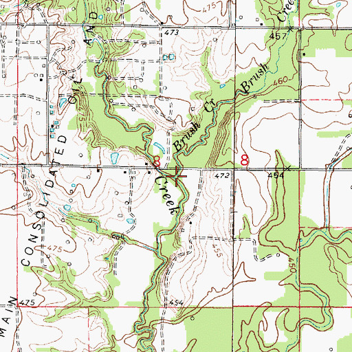 Topographic Map of Brush Creek, IL