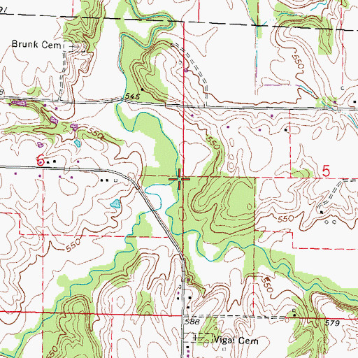 Topographic Map of Brush Creek, IL