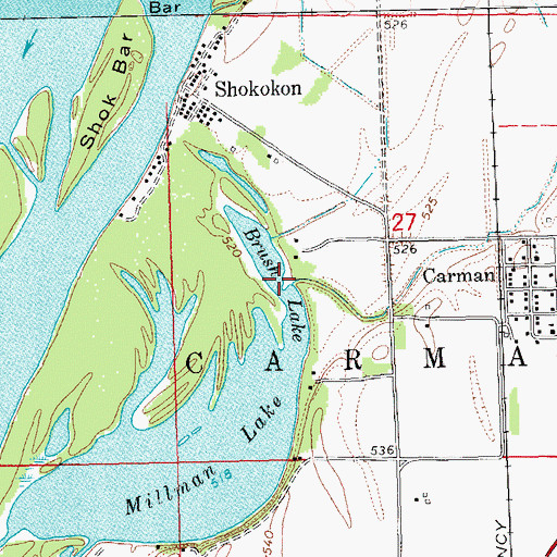 Topographic Map of Brush Lake, IL