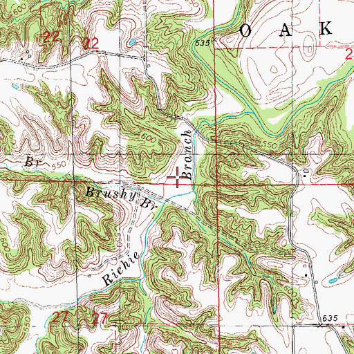 Topographic Map of Brushy Branch, IL