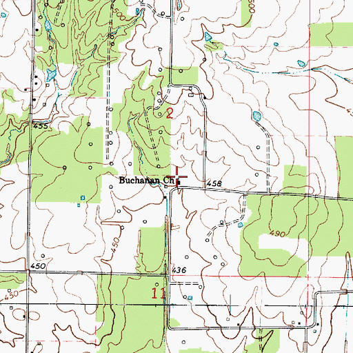 Topographic Map of Buchanan Church, IL