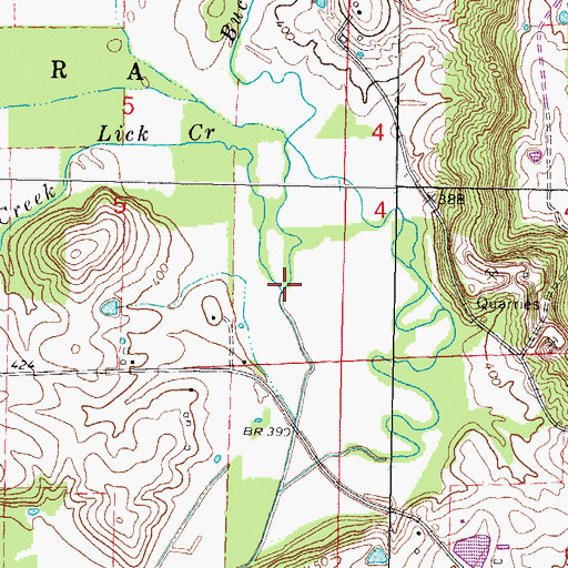 Topographic Map of Buck Branch, IL