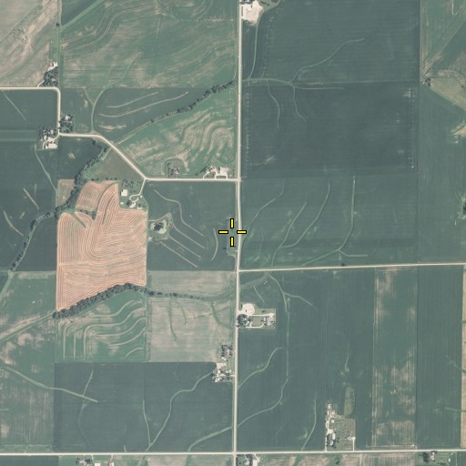 Aerial/Satellite Image of Buckeye Cemetery, IL