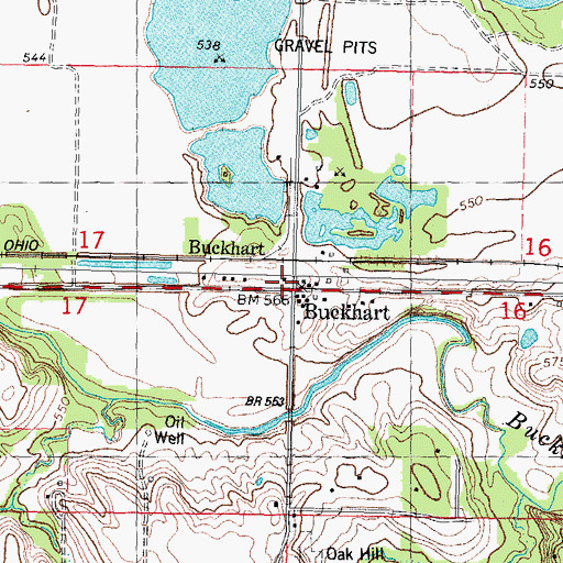 Topographic Map of Buckhart, IL