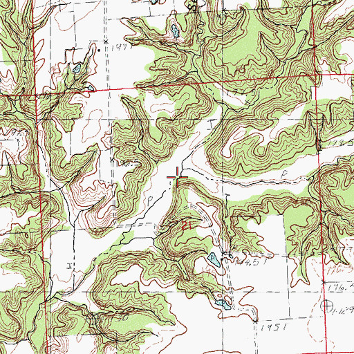 Topographic Map of Bucks Branch, IL