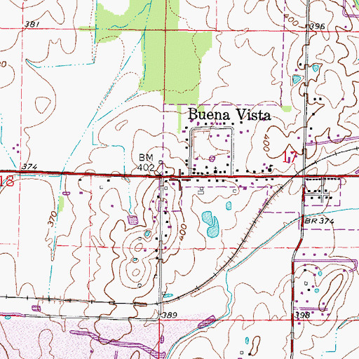Topographic Map of Buena Vista, IL