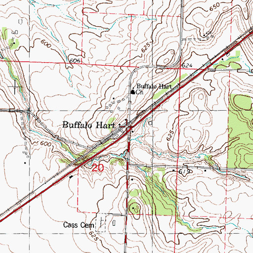 Topographic Map of Buffalo Hart, IL