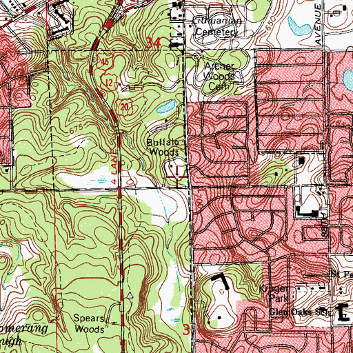Topographic Map of Buffalo Woods, IL