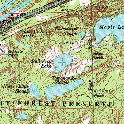 Topographic Map of Bull Frog Lake, IL