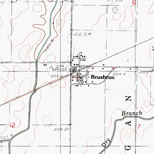 Topographic Map of Bushton, IL