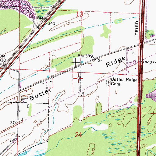Topographic Map of Butter Ridge, IL