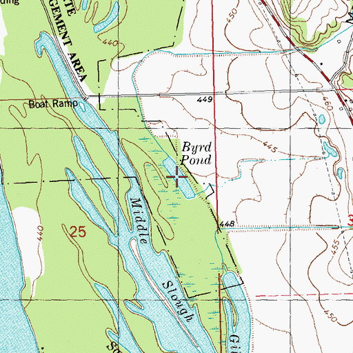 Topographic Map of Byrd Pond, IL