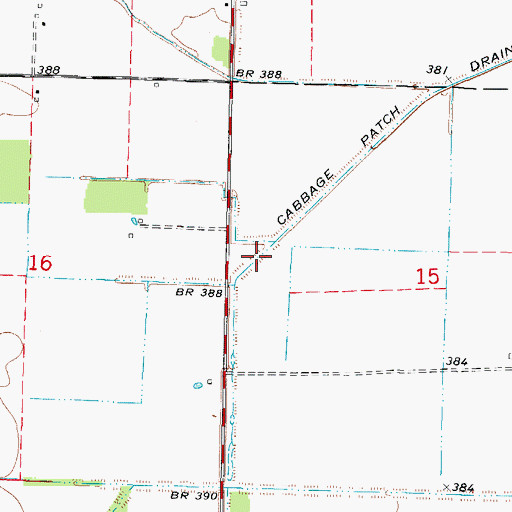 Topographic Map of Cabbage Patch Drain, IL