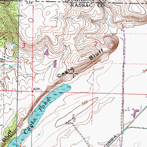 Topographic Map of Cagle Bluff, IL