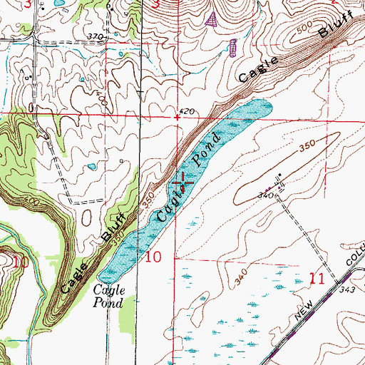 Topographic Map of Cagle Pond, IL