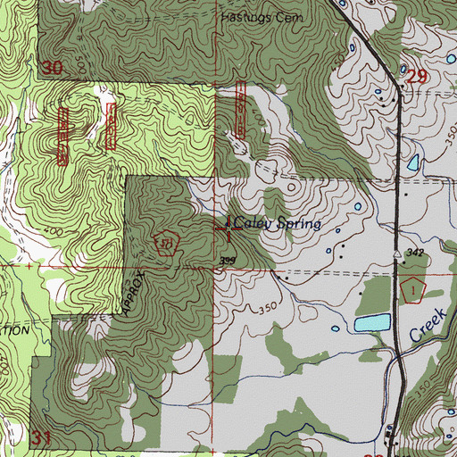 Topographic Map of Caley Spring, IL