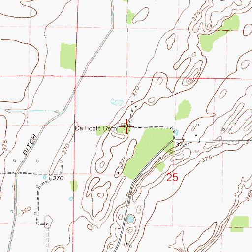 Topographic Map of Callicott Cemetery, IL
