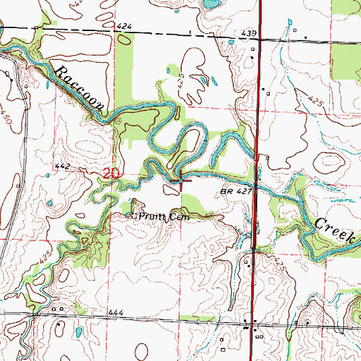 Topographic Map of Camel Creek, IL