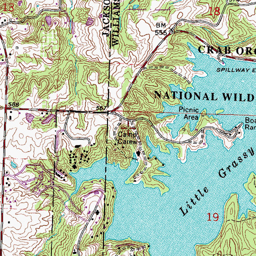 Topographic Map of Camp Carew, IL