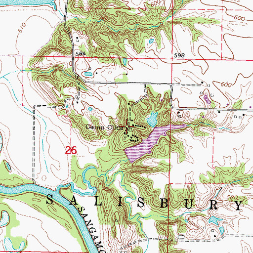 Topographic Map of Camp Cilca, IL