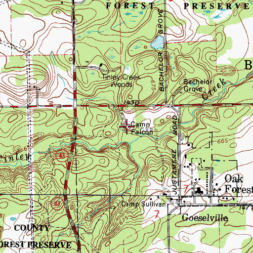Topographic Map of Camp Falcon, IL