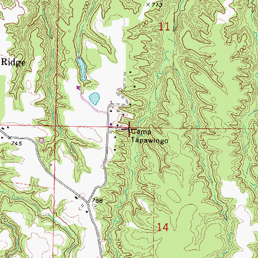 Topographic Map of Camp Tapawingo, IL