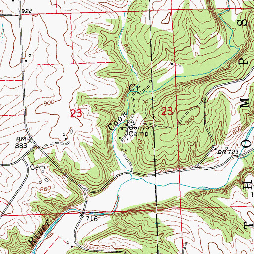 Topographic Map of Canyon Camp, IL