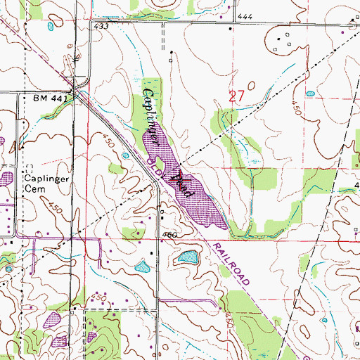 Topographic Map of Caplinger Pond, IL