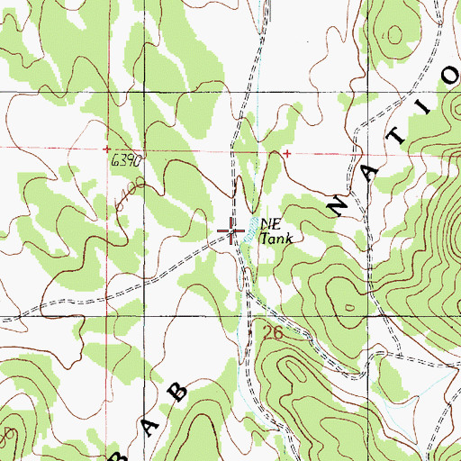 Topographic Map of NE Tank, AZ