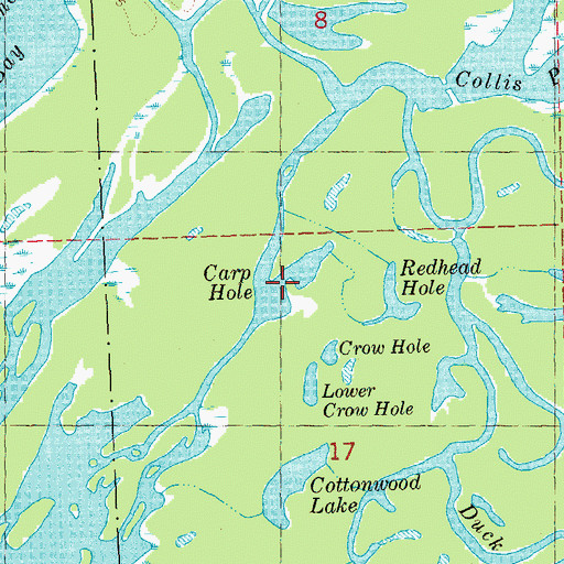 Topographic Map of Carp Hole, IL