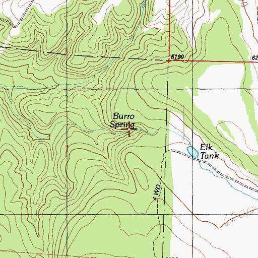 Topographic Map of Burro Spring, AZ