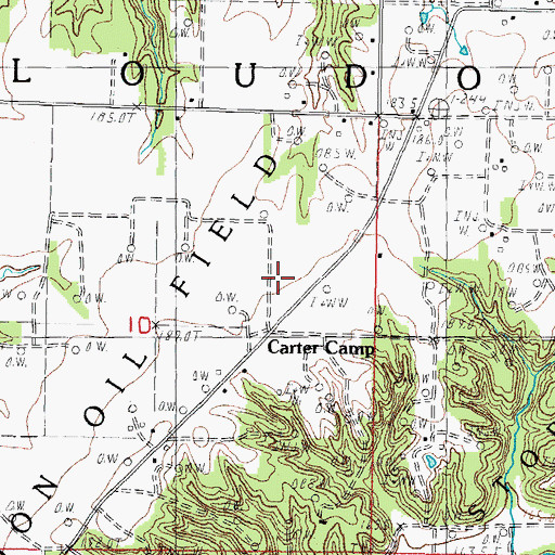 Topographic Map of Carter Camp, IL