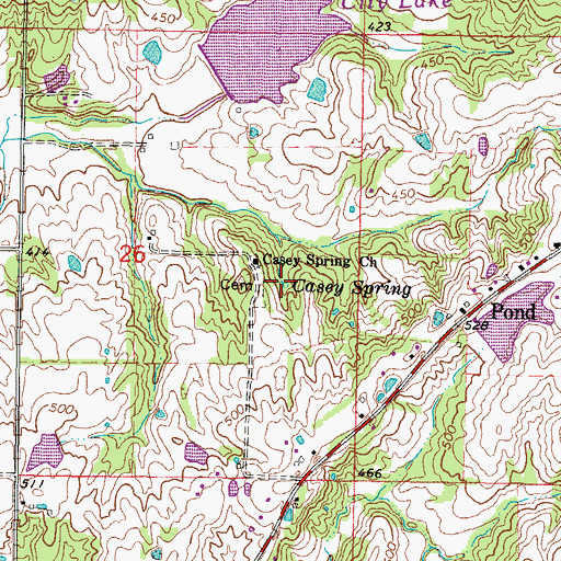 Topographic Map of Casey Spring, IL