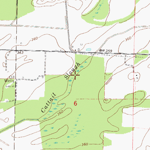 Topographic Map of Cattail Slough, IL