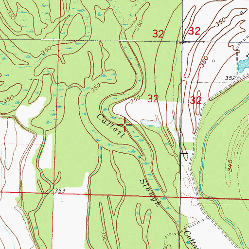 Topographic Map of Cattail Slough, IL