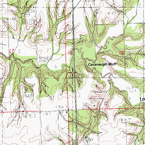 Topographic Map of Cavanaugh Bluff, IL